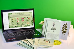 Гербарий натурально-интерактивный "Культурные растения" - fgospostavki.ru - Красный Сулин