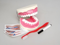 Игровой комплект "Чистим зубы" - fgospostavki.ru - Красный Сулин