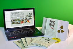 Гербарий натурально-интерактивный "Деревья и кустарники" - fgospostavki.ru - Красный Сулин