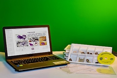 Коллекция натурально-интерактивная "Кварц в природе" - fgospostavki.ru - Красный Сулин