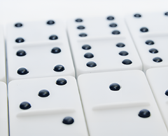 Домино для слабовидящих - fgospostavki.ru - Красный Сулин