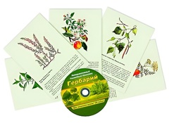 Интерактивный наглядный комплекс "Гербарий "Для начальной школы" - fgospostavki.ru - Красный Сулин