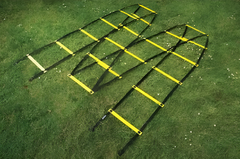 Лестница для тренировок (вариант 1) - fgospostavki.ru - Красный Сулин