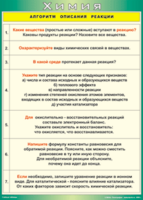 Таблица "Алгоритм описания реакции" (100х140 сантиметров, винил) - fgospostavki.ru - Красный Сулин