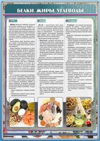 Стенд "Белки. Жиры. Углеводы" - fgospostavki.ru - Красный Сулин