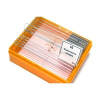 Набор готовых микропрепаратов (зоология) - fgospostavki.ru - Красный Сулин