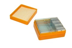 Набор готовых микропрепаратов (биология и физиология) - fgospostavki.ru - Красный Сулин