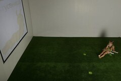 Интерактивная светозвуковая система “Лайт Бим” - fgospostavki.ru - Красный Сулин