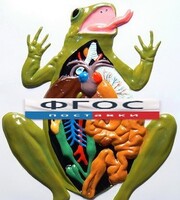 Модель барельефная "Внутреннее строение лягушки" - fgospostavki.ru - Красный Сулин