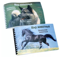 Пособие для слабовидящих - Домашние животные - fgospostavki.ru - Красный Сулин