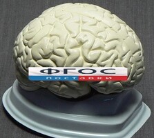 Модель "Мозг в разрезе" (белый) - fgospostavki.ru - Красный Сулин