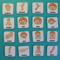 Набор карточек "Части тела" - fgospostavki.ru - Красный Сулин