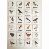 Набор карточек "ПТИЦЫ" - fgospostavki.ru - Красный Сулин