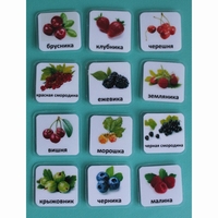 Набор карточек "Ягоды" - fgospostavki.ru - Красный Сулин