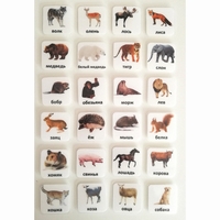 Набор карточек "ЖИВОТНЫЕ" - fgospostavki.ru - Красный Сулин