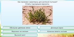 Интерактивные курсы. Окружающий мир 3 класс . Базовый. - fgospostavki.ru - Красный Сулин
