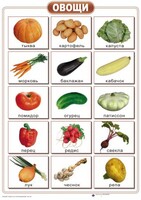 Таблицы "Окружающий мир" (формат А2, ламинированные, 10 таблиц) - fgospostavki.ru - Красный Сулин