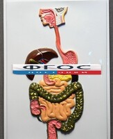 Модель барельефная "Пищеварительный тракт" - fgospostavki.ru - Красный Сулин