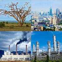 Модель-аппликация Биосфера и человек - fgospostavki.ru - Красный Сулин