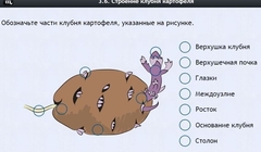 Интерактивные курсы. Биология 6 класс. Расширенный - fgospostavki.ru - Красный Сулин