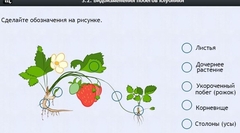 Интерактивные курсы. Биология 7 класс. Расширенный. - fgospostavki.ru - Красный Сулин