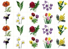 Комплект карточек "Запоминай, играй, считай" - Цветы - fgospostavki.ru - Красный Сулин