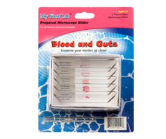 Набор микропрепаратов для микроскопа №1 «Человек» - fgospostavki.ru - Красный Сулин