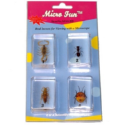 Набор микропрепаратов для стереомикроскопа №14 «Насекомые» - fgospostavki.ru - Красный Сулин