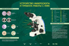 Электрифицированный стенд "Устройство микроскопа и правила работы c ним" - fgospostavki.ru - Красный Сулин