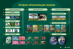 Электрифицированный стенд "Уровни организации жизни" - fgospostavki.ru - Красный Сулин