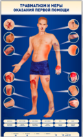 Электрифицированный стенд-тренажер "Травматизм и меры оказания первой помощи" - fgospostavki.ru - Красный Сулин