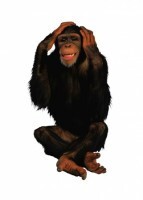 Комплект карточек "Запоминай, играй, считай" - Дикие животные - fgospostavki.ru - Красный Сулин