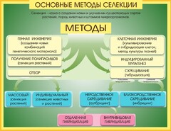 Стенд "Методы селекции и биотехнологии" - fgospostavki.ru - Красный Сулин
