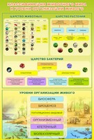 Стенд "Классификация животного мира" - fgospostavki.ru - Красный Сулин