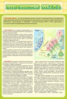 Стенд "Биосинтез белка" - fgospostavki.ru - Красный Сулин