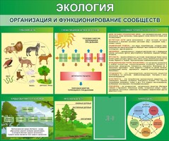 Стенд "Экология. Организация и функционирование сообществ" - fgospostavki.ru - Красный Сулин
