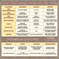 Стенд "Самостоятельные части речи" Вариант 2 - fgospostavki.ru - Красный Сулин