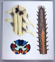 Модель барельефная "Строение спинного мозга" - fgospostavki.ru - Красный Сулин