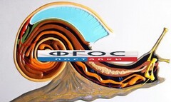 Модель барельефная "Внутреннее строение брюхоногого моллюска" - fgospostavki.ru - Красный Сулин