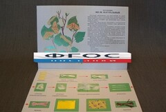 Коллекция "Шелк для начальной школы" - fgospostavki.ru - Красный Сулин