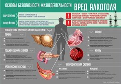 Стенд "Алкоголь" - fgospostavki.ru - Красный Сулин
