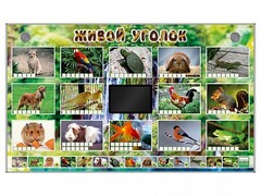 Комплект оборудования "Живой уголок" (животные) - fgospostavki.ru - Красный Сулин
