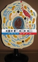 Модель "Клетка животного" - fgospostavki.ru - Красный Сулин