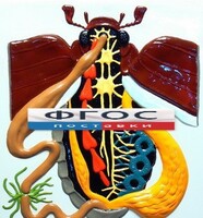 Модель барельефная "Внутреннее строение жука" - fgospostavki.ru - Красный Сулин