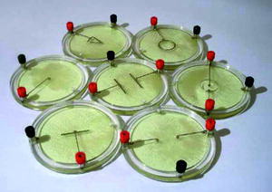 Демонстрационный комплект «Силовые линии электрического поля разных систем зарядов» - fgospostavki.ru - Красный Сулин