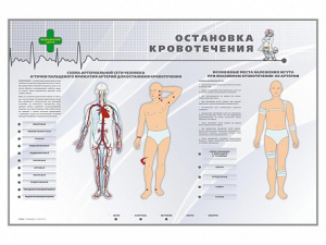 Электрифицированный стенд "Остановка кровотечения" - fgospostavki.ru - Красный Сулин