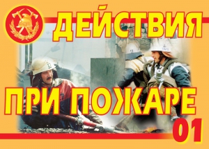 Комплект плакатов "Действия при пожаре" - fgospostavki.ru - Красный Сулин