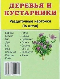 Раздаточные карточки "Деревья и кустарники" - fgospostavki.ru - Красный Сулин