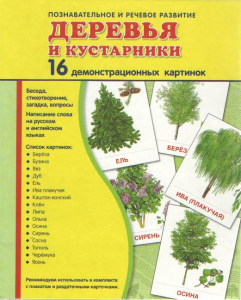 Демонстрационные карточки "Деревья и кустарники" - fgospostavki.ru - Красный Сулин