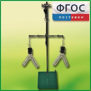 Прибор для демонстрации закона сохранения массы веществ - fgospostavki.ru - Красный Сулин